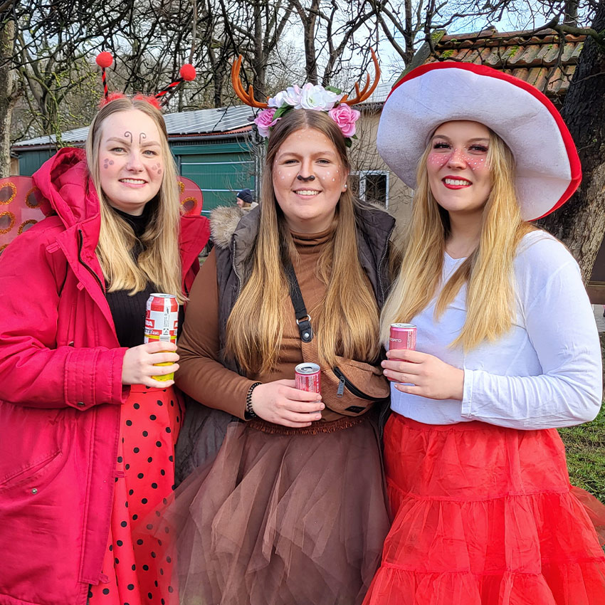 Karneval in Haltern 2023