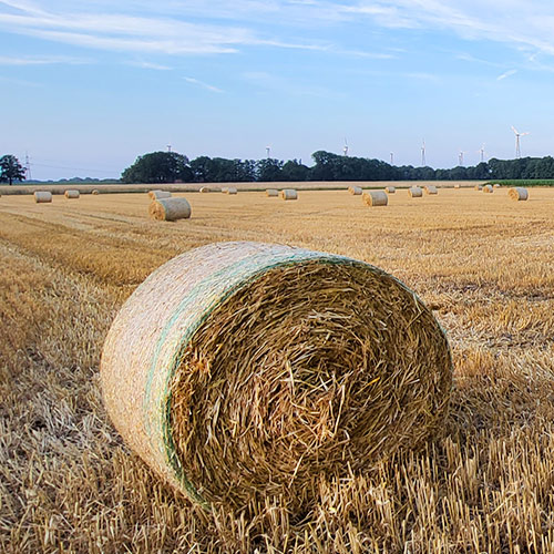 Haarener Rundweg