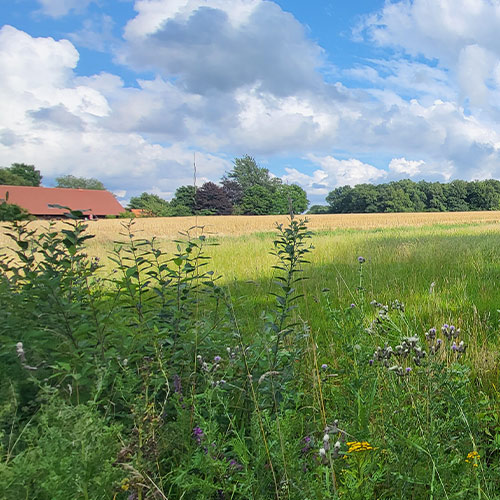 Halterner Dreieck